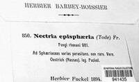 Dialonectria episphaeria image